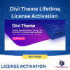 Divi Theme